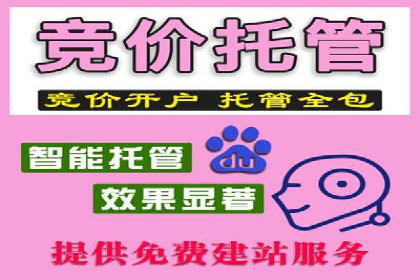 百度SEM代运营实战案例：助力企业快速抢占市场